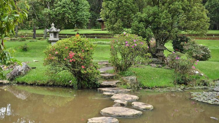 Avenue Nuwara Eliya Daire Dış mekan fotoğraf